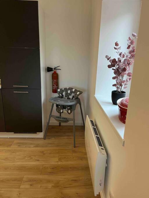 Le Gite Des Cigogneaux Schwenheim Bagian luar foto